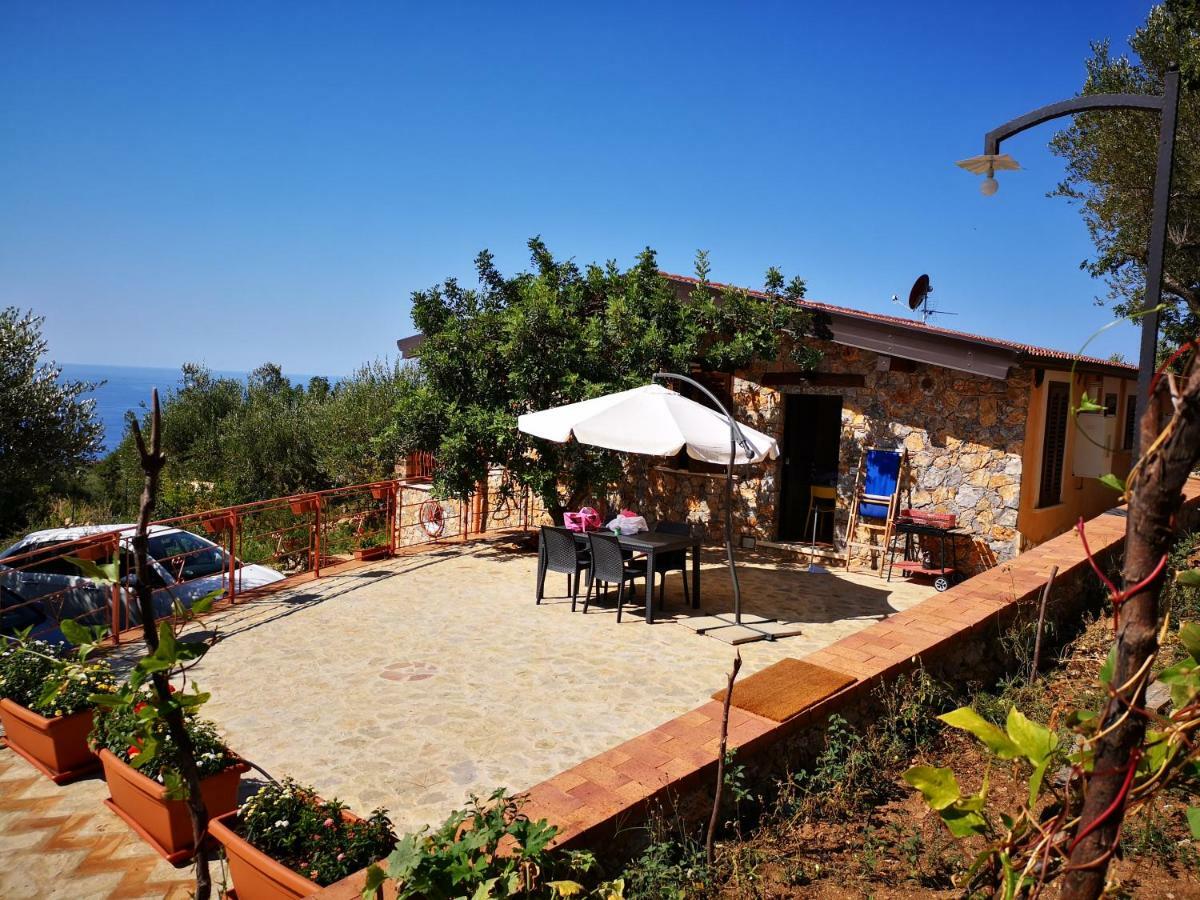 Starza Casa de Férias