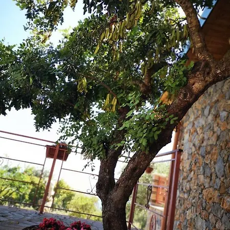 Villetta Starza Marina di Camerota Exterior photo