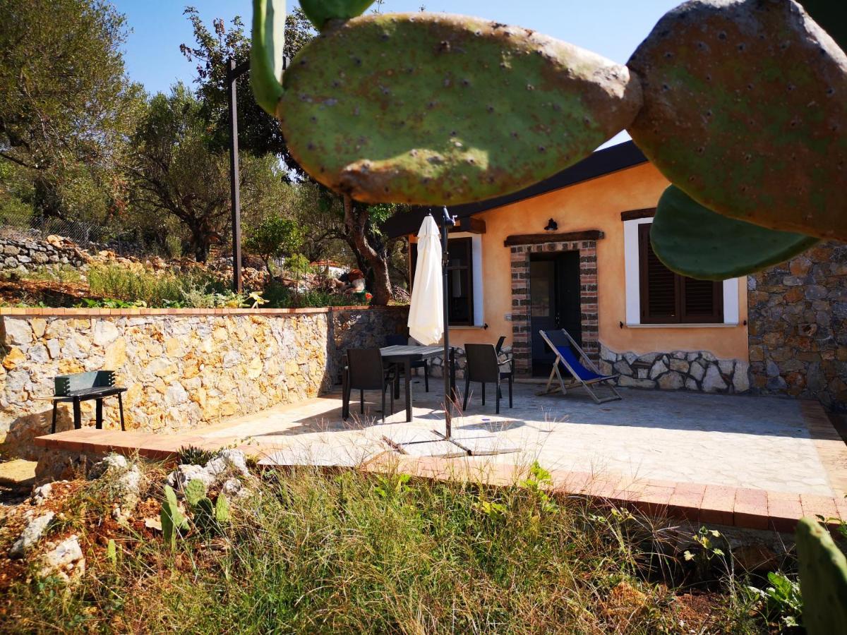 Starza Holiday home *