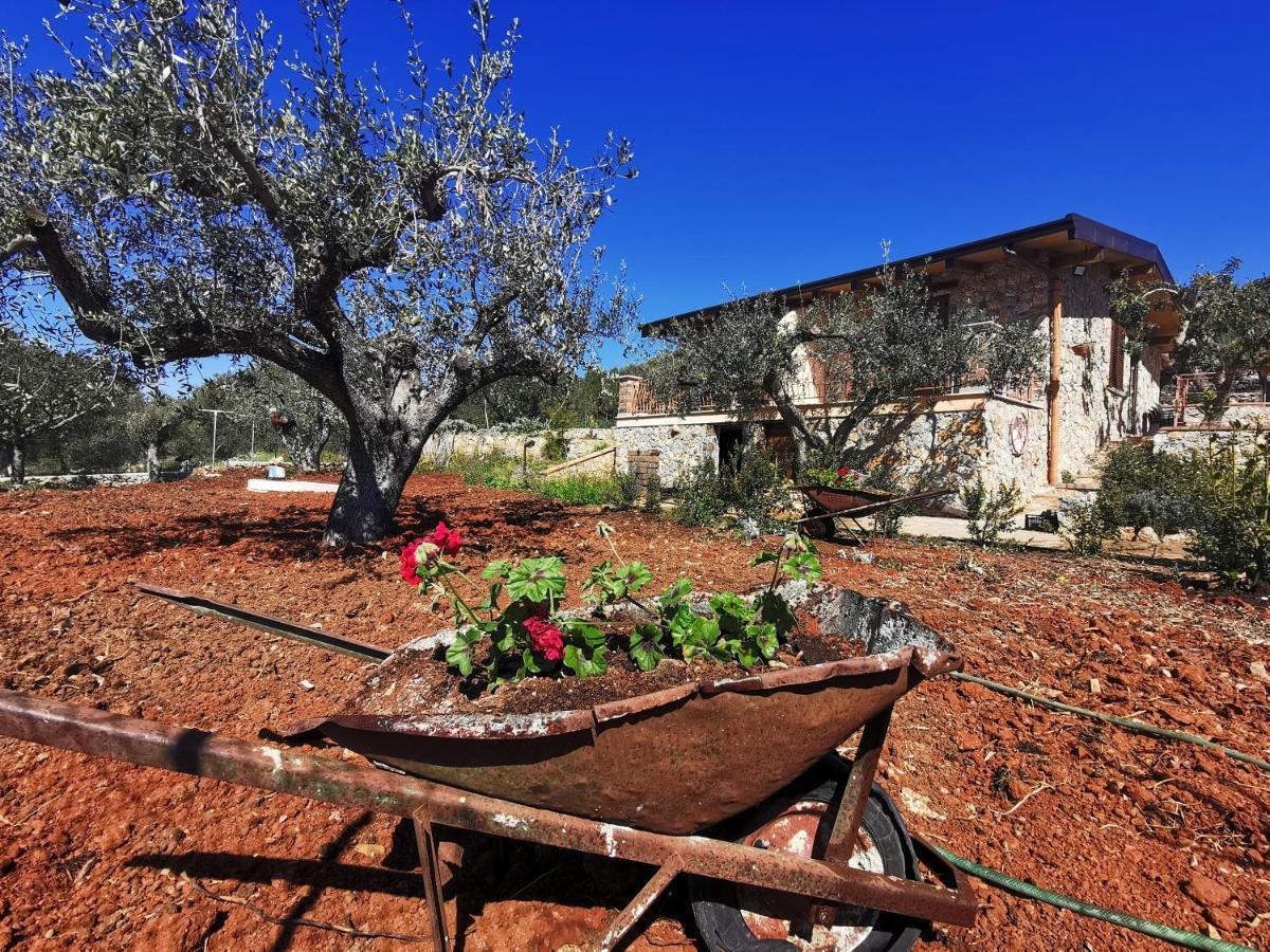 Starza Holiday home