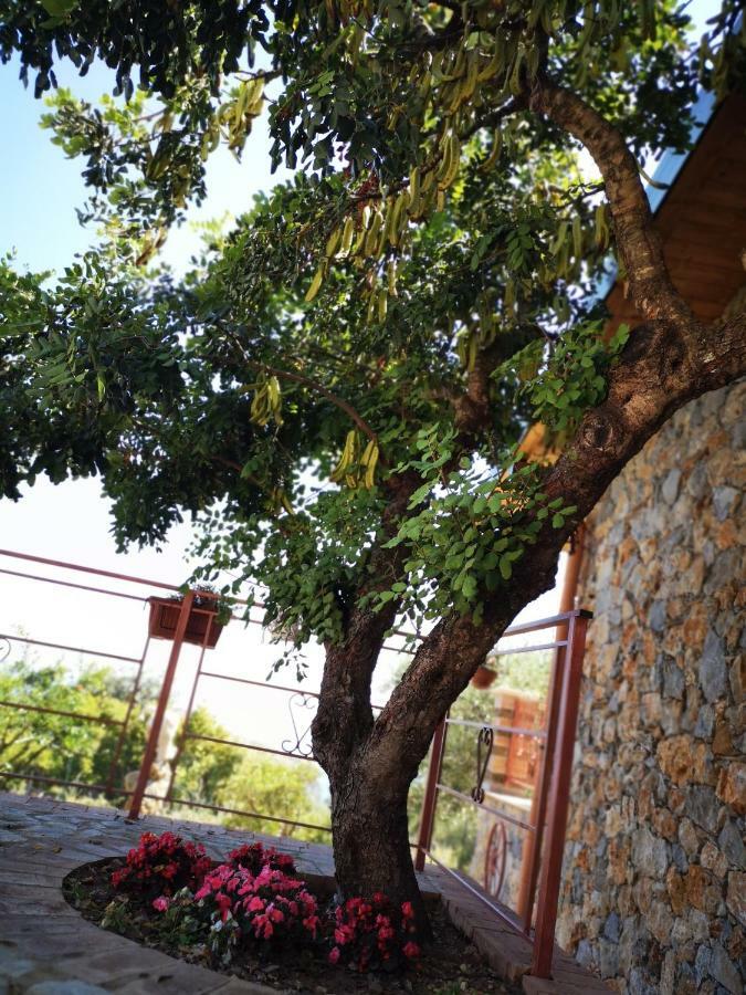 Holiday home Starza